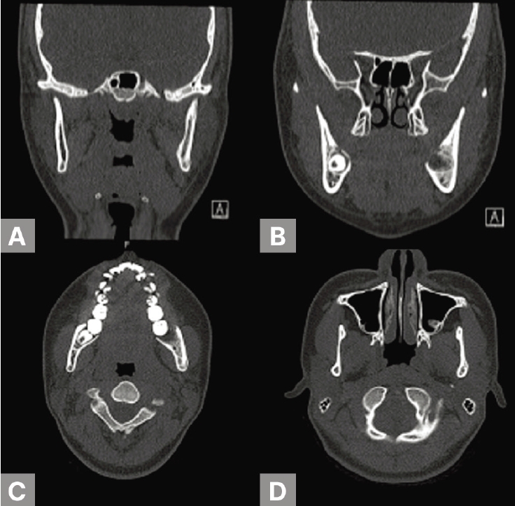 Fig. 6.