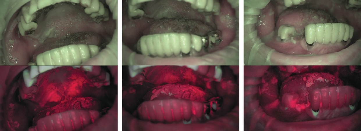 Fig. 2.