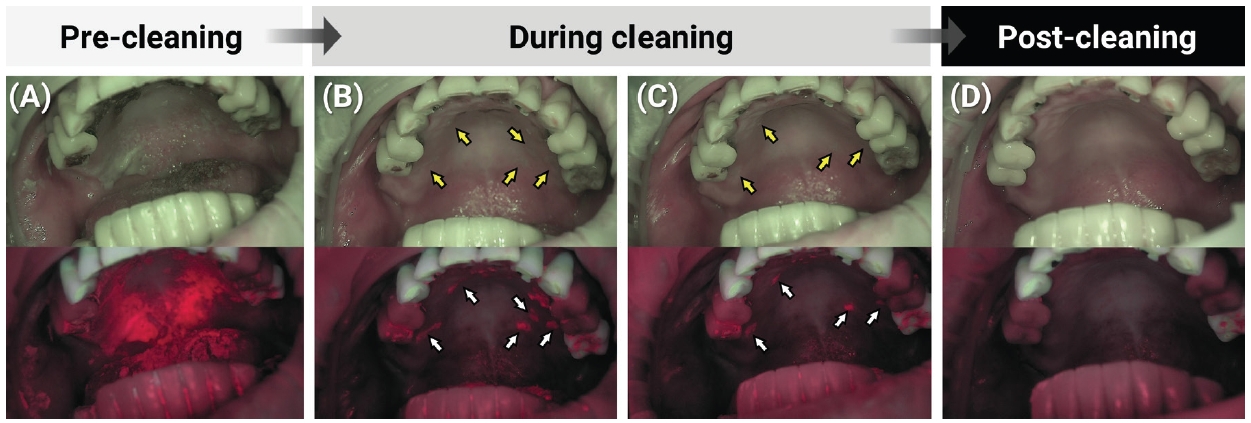 Fig. 3.